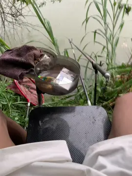 Tess bãi mới mà gặp mưa thế này chịu r 🙂‍↔️#doancaro #cauca #caucatunhien #caucagiaitri #xh #viralvideo #xuhuongtiktok 