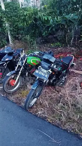 #yamaharxking  cuma pecinta motor tua