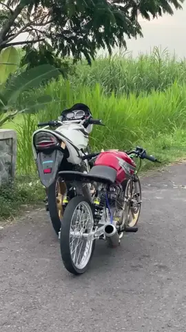 sui ga numpak i Sampek lali rasane#tiktok #fyppppppppppppppppppppppp #fypシ゚viral #statusvideo #herex #beranda 