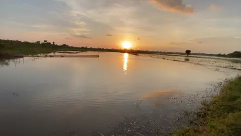 #ទេសភាពថ្ងៃរៀបលិច🌅🥰🫶#កូនអ្នកស្រែ👩🏻‍🌾❤️ #foryou 