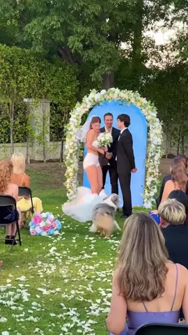 When the Dog Totally Wrecks the Wedding#funny #fail #puppy #dog #wedding #Love #groom #bride 