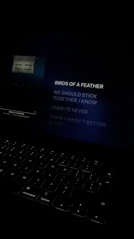 🎧 BIRDS OF A FEATHER - Billie Elish #fyp #viral #lyrics #billieeilish #birdsofafeather #applemusic #xybca 