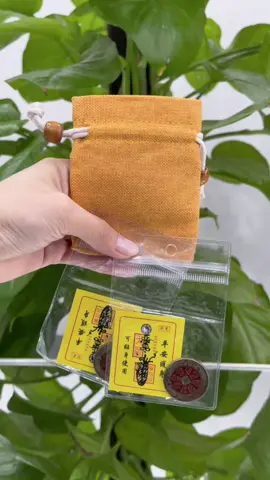 Ma núi tiêu tiền, đồng tiền hoa sơn thần phong thuỷ #dongtienphongthuy #dongtienhoamai #phongthuy #tienphongthuy #xuhuong #tiktok #tiepthilienket #tiktokshop 