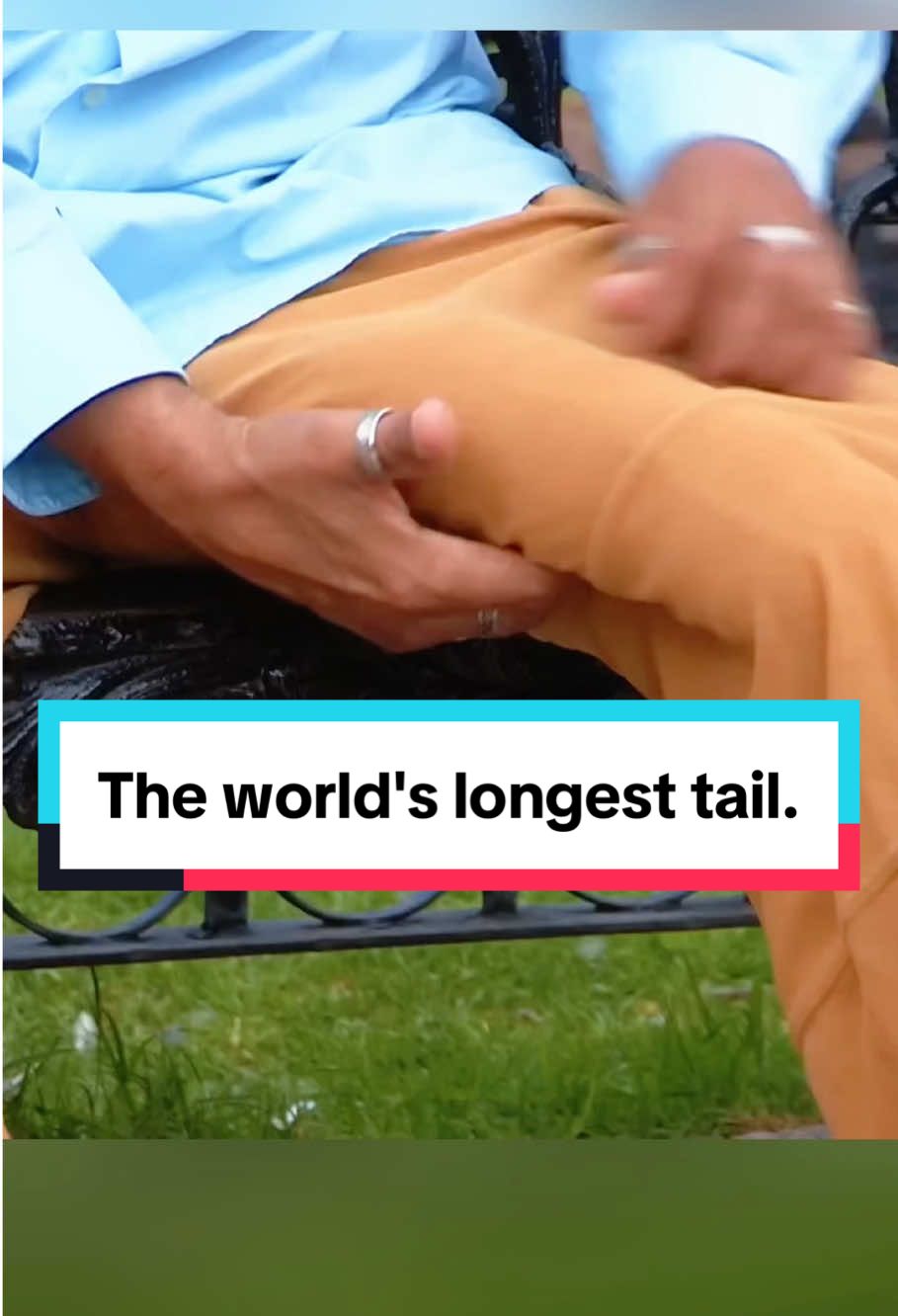 The world's longest tail. #WorldRecord #LongestTail #ExtremeBody #Mexico #MedicalMystery #HumanAnatomy #UnbelievableSize #RobertoEsquivel #Oddities #TikTokFacts