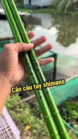 Cần câu tay shimano trúc xanh 3H#cancautay #shimano 