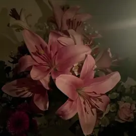 #лилии #lilies #Japan 