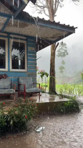 Suasana hujan di kampung yang paling sering kita rindukan #suasanakampung #hujan #pedesaan