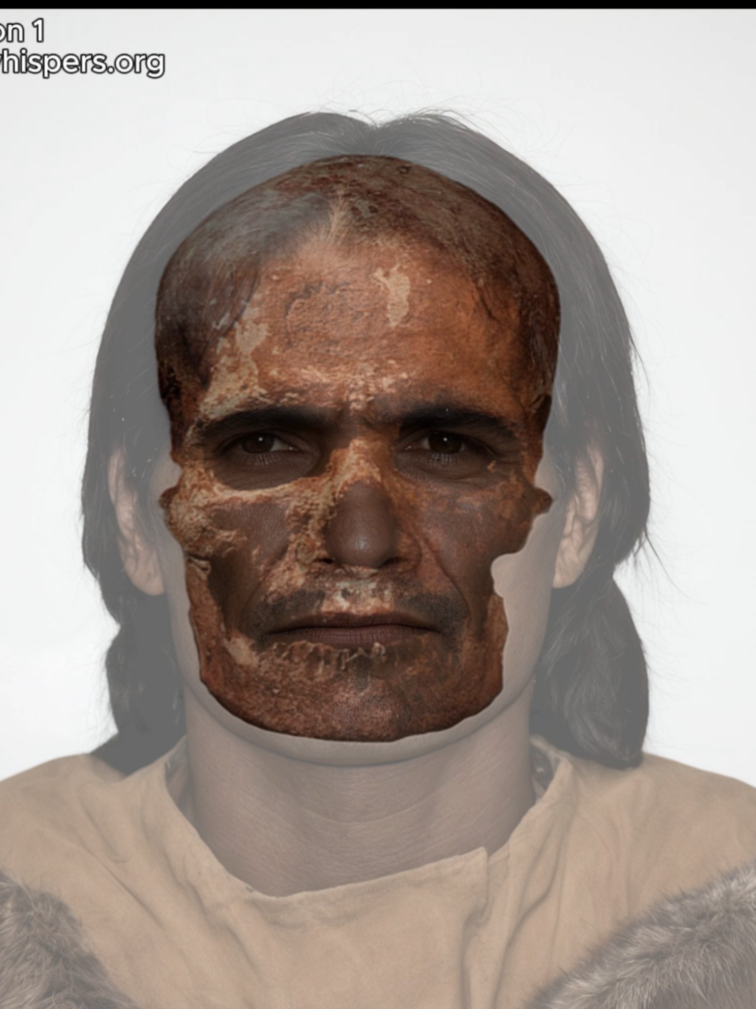 Facial reconstruction of a 28,000-year-old man from France In 1868, during railway construction through the Vézère Valley near the village of Les Eyzies, part of a rock overhang was destroyed, exposing, though also partially damaging, a prehistoric rock shelter now known as Cro-Magnon. As the site was being cleared, numerous tools and ornaments were discovered, along with the skeletal remains of five individuals. These remains included an elderly man, two adult males, a woman, and a younger individual. The skeletons were covered by layers of sediment that had accumulated from the cave ceiling over time and were found lying directly atop a cultural layer rich in fauna remains. The animal bones were dominated by horse, reindeer (both red and northern types), ground squirrel, and to a lesser extent, bison and aurochs. Originally, the archaeological layer was thought to belong to the Aurignacian period. However, more recent assessments suggest a more accurate attribution to the early Gravettian period. Close to the skeletons, over 300 pierced marine shells, mostly from Littorina littorea, were recovered, likely used as personal ornaments. Additional finds included pendants made from bison teeth, a drilled deer antler, and an ivory plaque with two perforations. One of the adult males, now known as Cro-Magnon 1, stood out for his exceptionally large and robust skull, measuring 200 mm in length and 150 mm in width. #phenotype #ancientdna #anthropology #skull #huntergathererskull #gravettian
