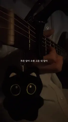 푸른 달아 비친 내 손에 내려다오🌙 #호랑수월가 #감성노래 #노래커버 #나와호랑이님 #ost #감성곡