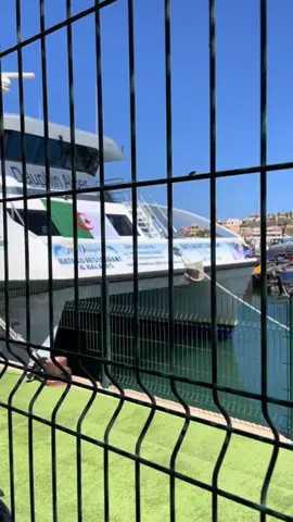 📍BATEAU DAUPHIN LA MADRAGUE @Bateau Dauphin  #minivlog #balade #bateau #bateauduphin #ainbanian #alger #dzair🇩🇿 #fyp #tiktok 