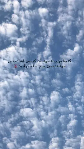 #🎡 