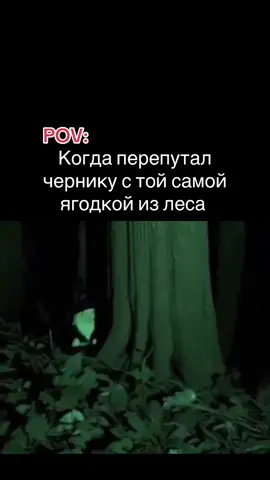 черничка 