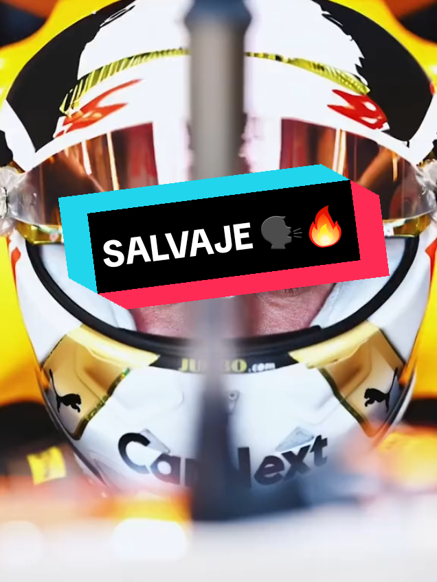 Le llaman Salvaje 🗣🔥 #verstappen #maxverstappen #redbull #formula1 #f1 #f1tiktok  Rights to whom they correspond 