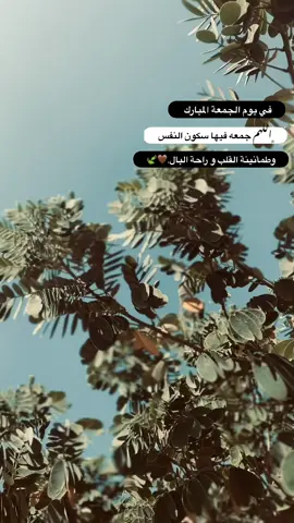 جمعه مباركه 🤎#تصويري_احترافي_الاجواء👌🏻🕊😴 #تصوري📸 #قناتي_تليجرام_بالبايو💕🦋 #عباراتكم_الفخمه📿📌 #عباراتكم_الفخمه🦋🖤🖇 