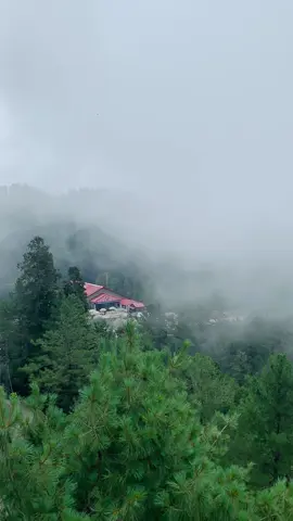 #nathiagali #baarish #cool #weather #foryoupage #foryou #mountains #beauty #green #murreehills #murree #clouds 