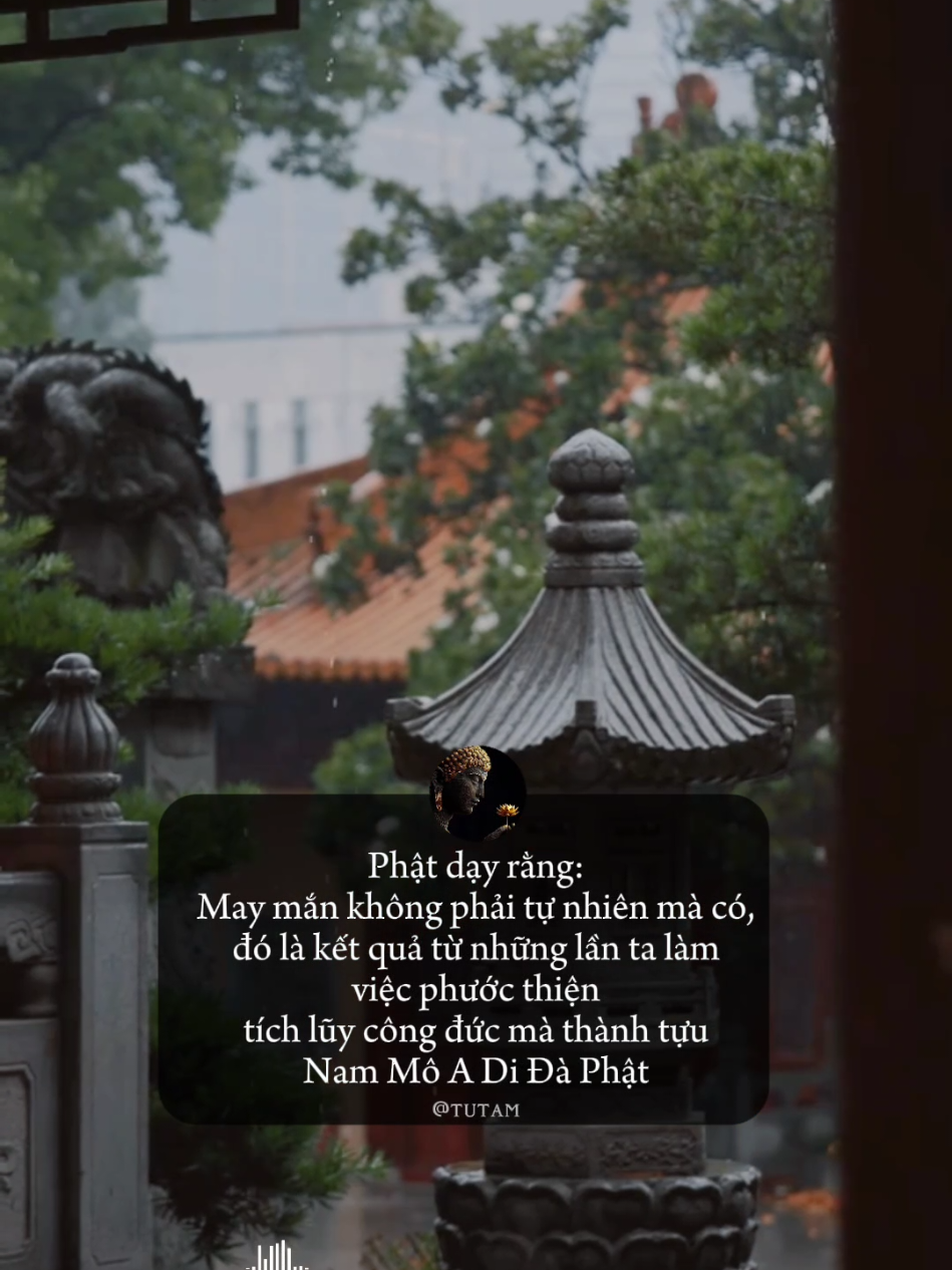 lời phật dạy#loiphatday #phatphap #phatphapnhiemmau 