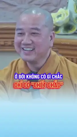 Ở đời không có gì chắc hết, ngoài sự vô thường. #thichphaphoa #thayphaphoa #suutamphapthoai #tuehung #phapthoai #phatphap #loiphatday #vothuong 