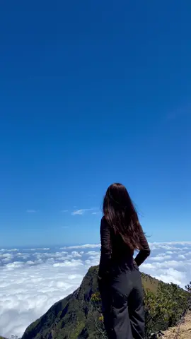 cakep bgt lautan awan gunung lawu 7 agustus #aboutyou #the1975 #lawumountain #gununglawu #gununglawu3265mdpl #lawuviacemorosewu #tektok #pendakicantik #pendakigunung #pendakifomo #fyp #masukberanda #mountaineer 