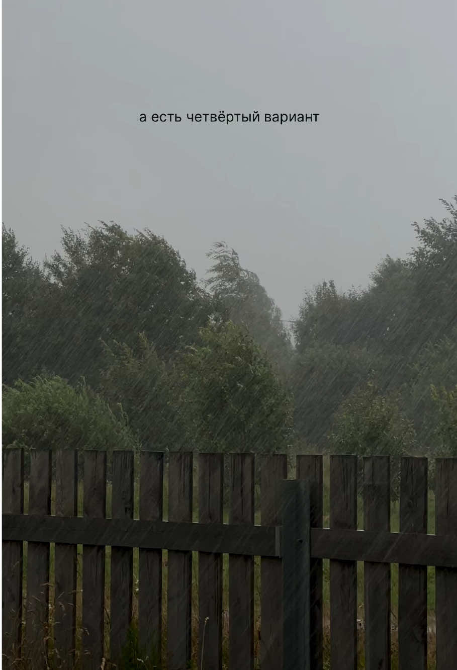 мой тгк: уголок спокойствия ♡ о любви к природе, книгам и фотографии