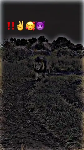 اکیلے ضرور ہے ✌️🥀😈🥰💕foryoupage #🖇️✨🥀💔 #fyp  #500k#poetrystatus #viralmyvideoplztiktok #whatsappstatus #goviral