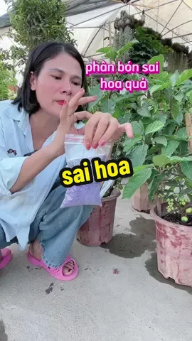 phân bón promix#phanboncay #caycanh #vườncuaban1982 #xuhuong 