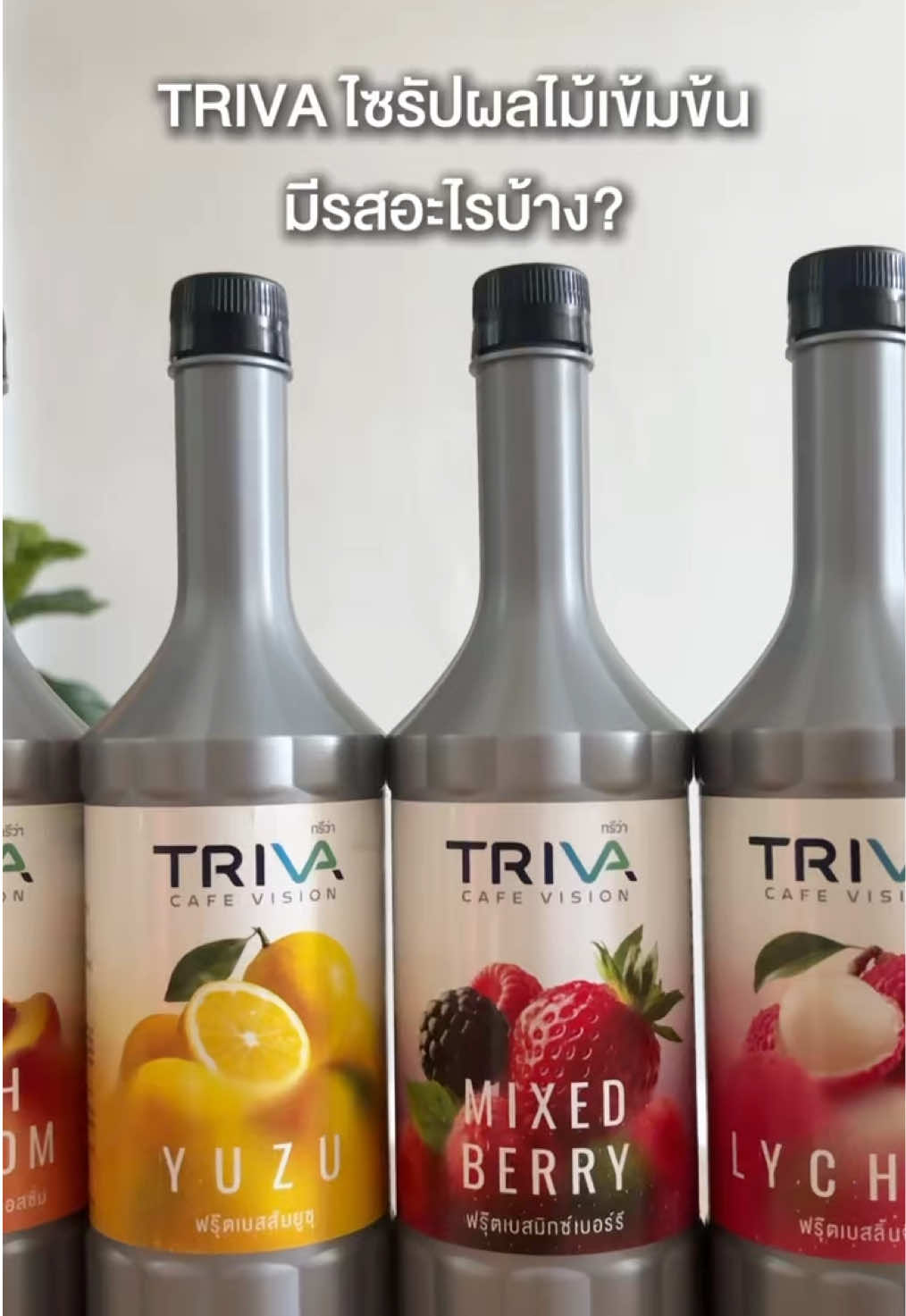 TRIVA SYRUP ผลไม้เข้มข้น มีรสอะไรบ้าง 🥭🍑#trivacafevision #ไซรัป #ไซรัปผลไม้ #homecafe #คาเฟ่ 