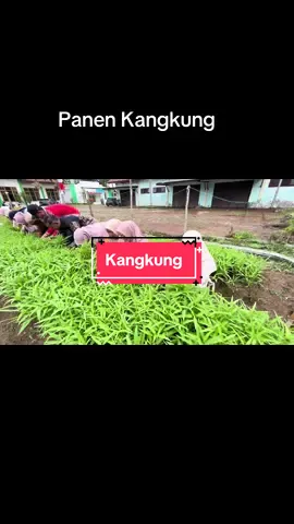 Kegiatan ketahanan Pangan DP2KP Kota Banda Aceh