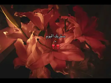 #ستريك #دعاء #قران #ايه #اجر_لي_ولك #صدقه_جاريه_لجميع_اموات_المسلمين #جمعة 