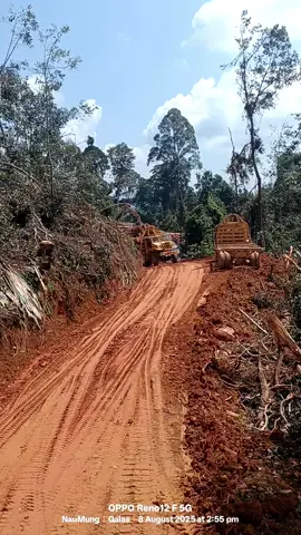 #malaysiaသစ်ကားသမားnaumung😍 #ကားဆရာညီကိုများအားလုံးဘေးရန်ကင်းပါစေ🙏 #ကားသမားလေးမို့မင်းချစ်ချင်မှချစ်ပါ #loribalakmalaysia #highlights #fypviraltiktok #fypシ゚viral🖤tiktok☆♡🦋myvideo #fypシ゚viral🖤tiktok #fypシ 