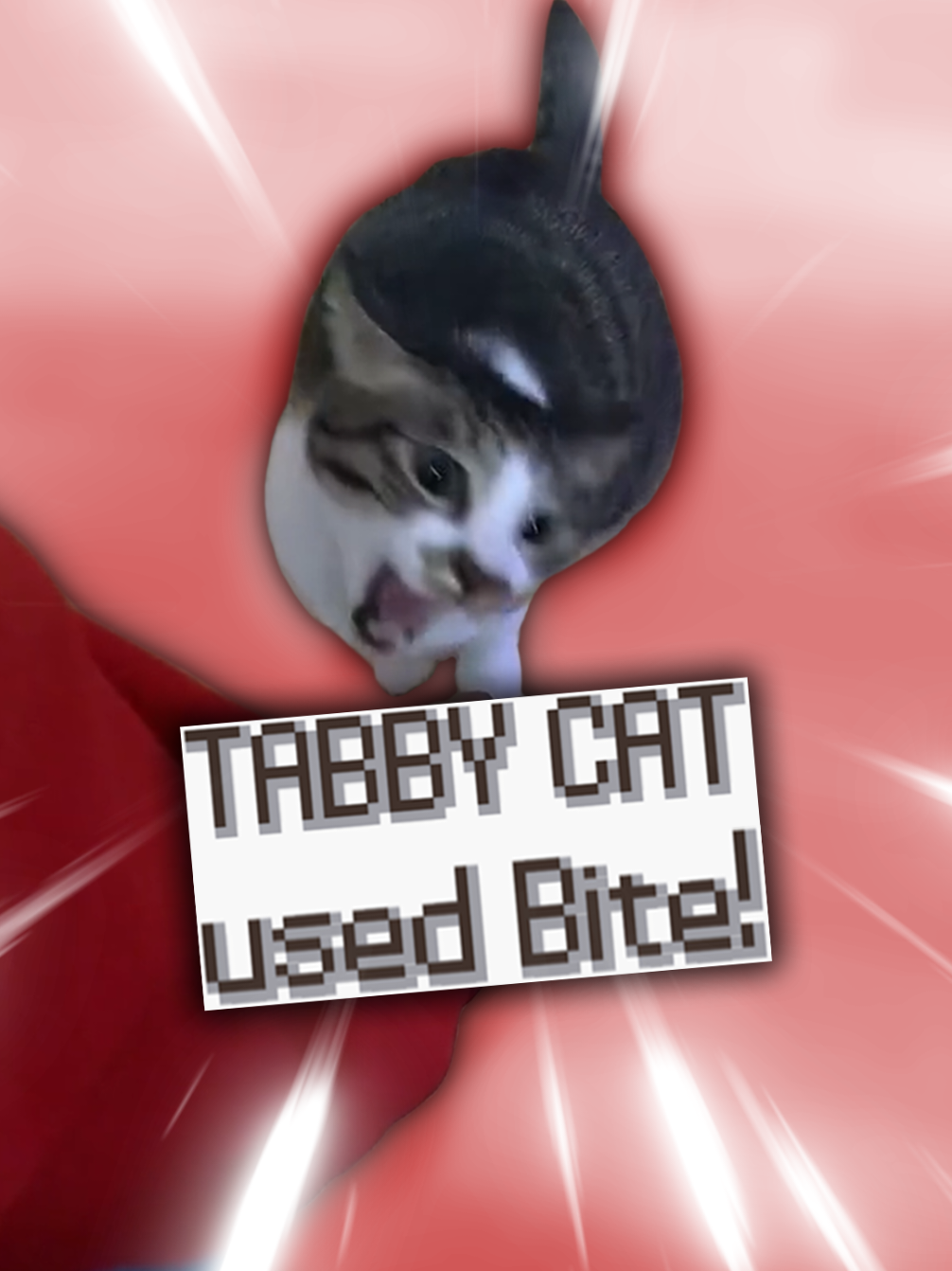 Tabby Cat used Bite! #pokemon #pokemontiktok #nostalgia #catmeme #pokemonedit          (Diamond and Pearl HP bars sprites ripped by Space Guard, Textbox sprites ripped by Lakilester 86)