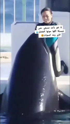 #الشعب الصيني ماله حل 😂😂😂😂