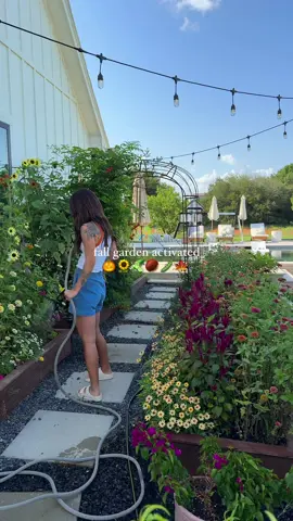 Fall garden activated 🍁 #fallgarden #pumpkinseason #fallaesthetic #pumpkin 