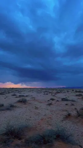 #تصويري #اكسبلور 