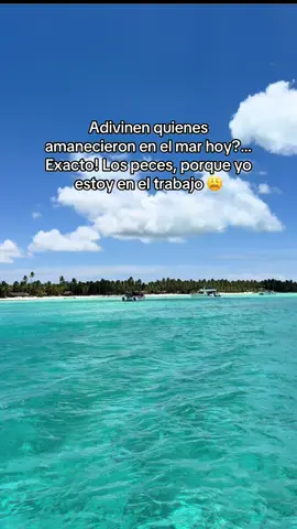 Que envidiaaaaa 😩 #tiktok #fy #friday #viernes #foryoupage #traveltiktok #vacaciones #fyppppppppppppppppppppppp #fyp #fypシ゚ 