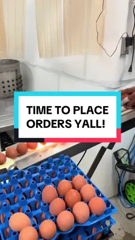 Meat and poultry shipped anywhere in VA, MD, DC! Eggs delivered in DMV, Richmond, Baltimore, and Charlottesville areas. Pet treats ship nationwide! Order via the link in bio :-) #blackbirdcoop #sylvanaquafarms #dmv #eatlocal #rva #pastureraised #regenerativeagriculture 
