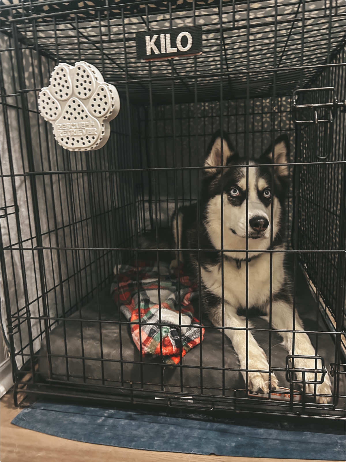 @Rescue Retriever 🚒🔥🧯👨🏻‍🚒 #CapCut 