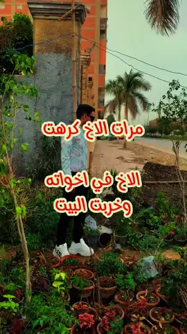 #مرات الاخ الشريرة بس العيب مش عليها العيب على اللي بيسمع ليها ويصدقها  #مرات_الاخ #زوجة_الابن #مرات_اخوي #خواطر