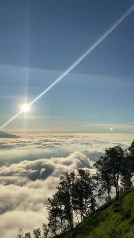 #bukitnanggi2030mdpl #fyp 