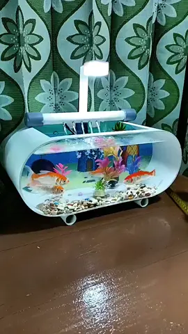 aquarium akrilik mini fullset #aquarium #aquariumakrilik #aquariummini #aquariumfullset #sahabatmc 