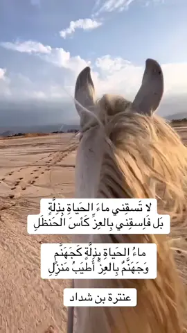 #قصايد_شعر_خواطر_شيلات_الاكسبلور#غرناطة#قصر_الحمراء_الأندلس#عنترة_بن_شداد_العبسي#