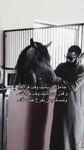 #خيل_وخياله🐎 #خيل_عربي_اصيل🐎🐎 #viral #fyp #اقتباسات 