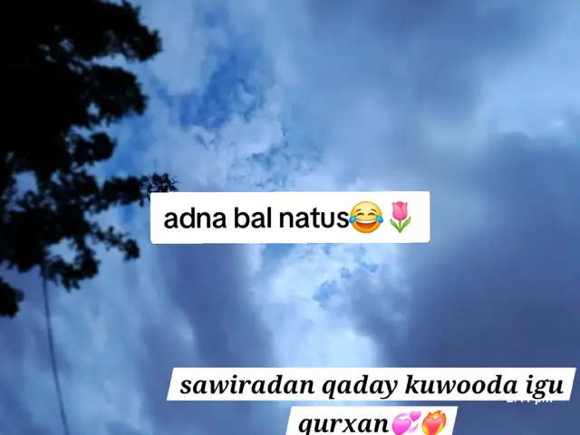 #QUruxdiisa #aww🌷💞🌹 #foryoupage #fyrシ #viraltikt 