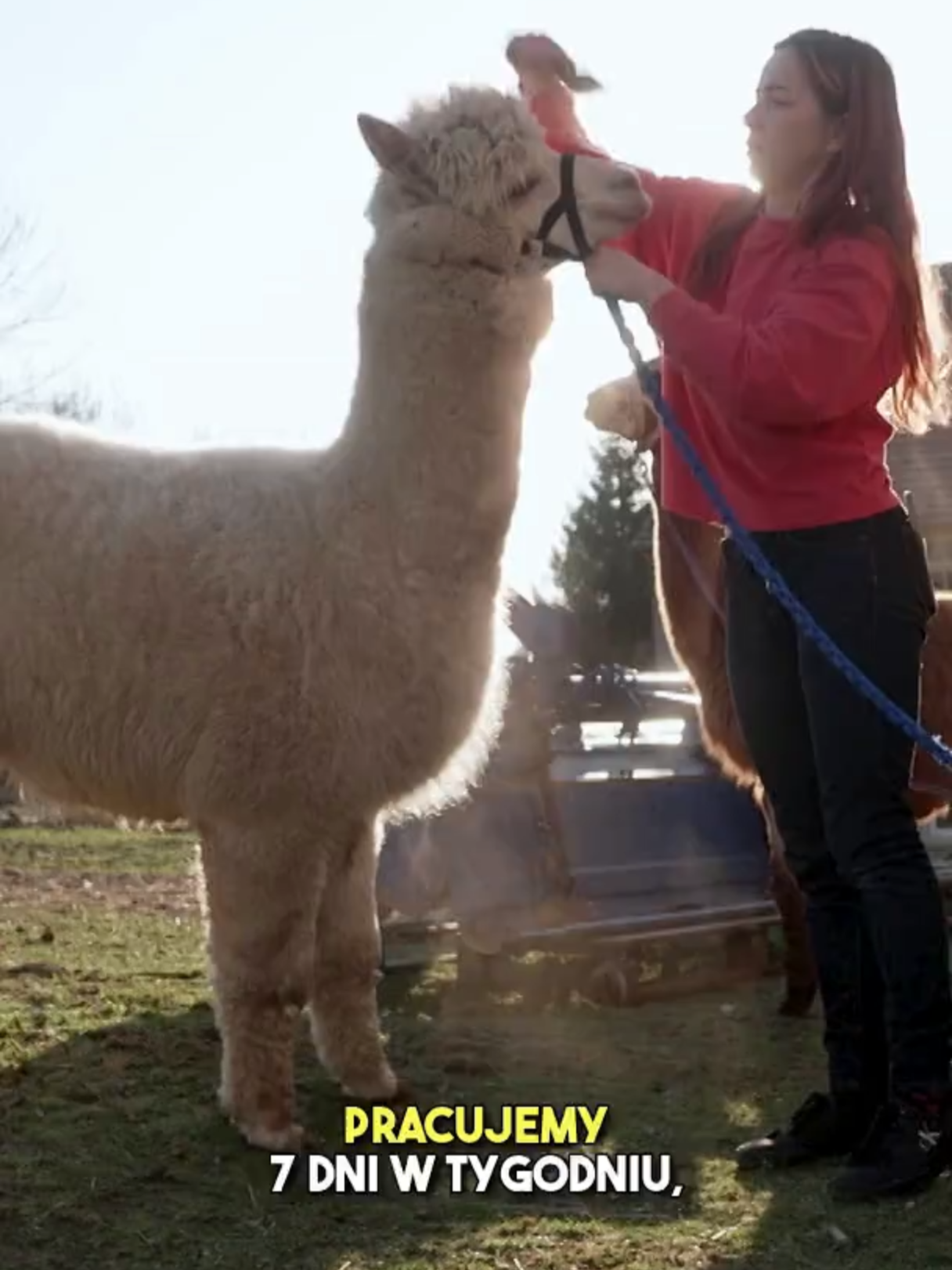 DAMY I WIEŚNIACZKI już dziś o 22:00. A jesienią zapraszamy na nowy sezon w TTV! #cooglądać #ttvpl #ttv #powtórka #damyiwiesniaczki