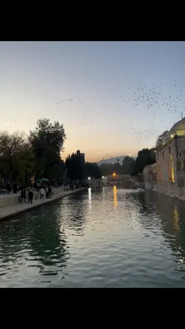 ŞANLIURFA❤️‍🩹#kesfetttt#kesfetteyizzzz#balıklıgöl#şanlıurfaaaa#musa Eroğlu#mihriban#