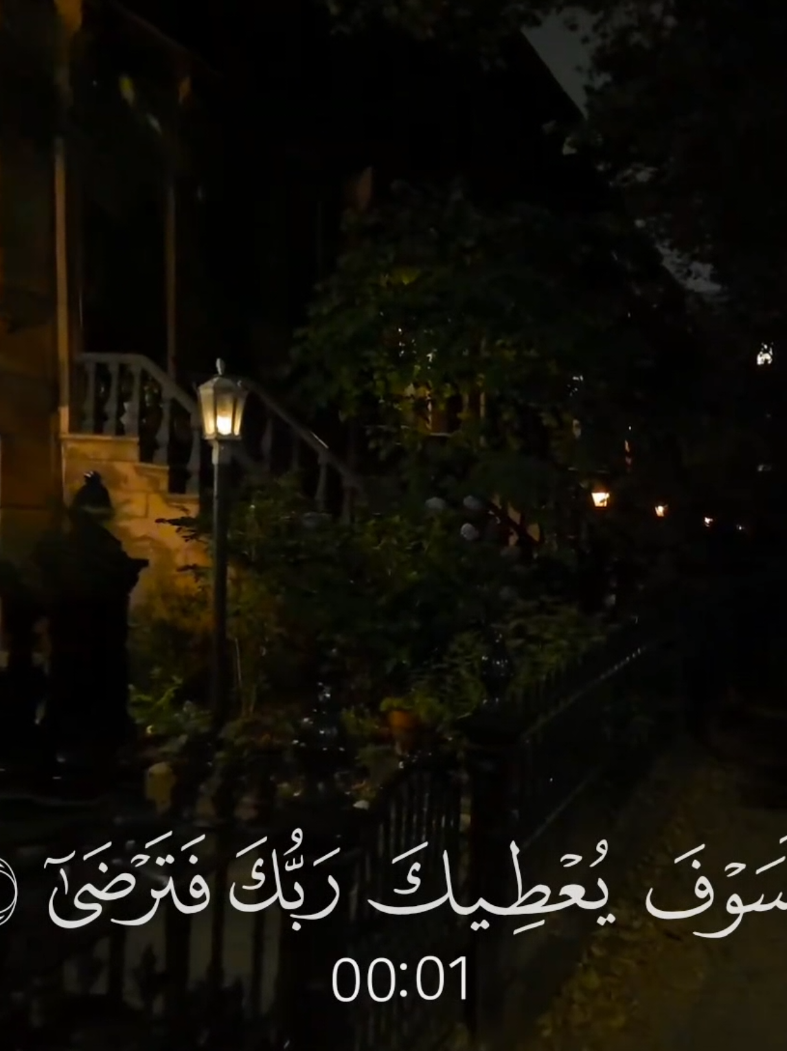 ولسوف يعطيك ربك فترضى 🤍 #القارئ #ماهرالمعيقلي #سورة_الضحى #قرآن #قران_كريم #quran_alkarim #quran 