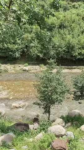#tirhavalley #foryoupage #viralvideo 