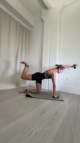 #homeworkout #core #SilhouettebyAlexis 