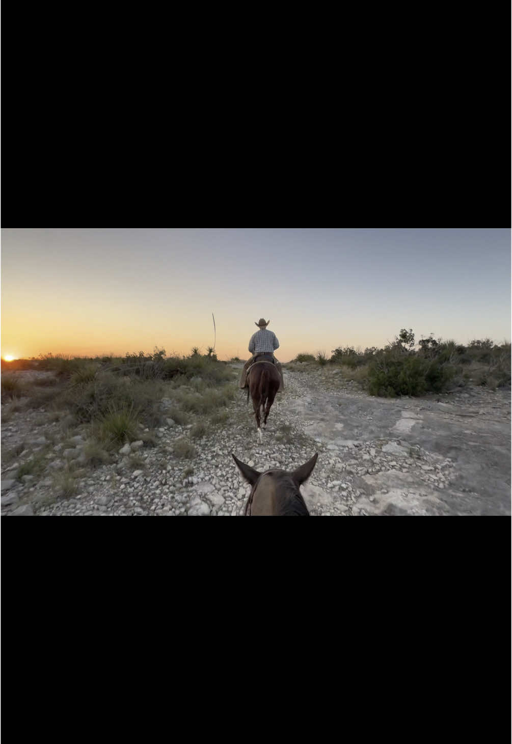 Not my longest video of an update on a horse we have in training, but this was a pretty exciting day for Mr. Snip! Sure proud of his progress ❤️ #customerhorse #mesabrand #westtexas #ranching 