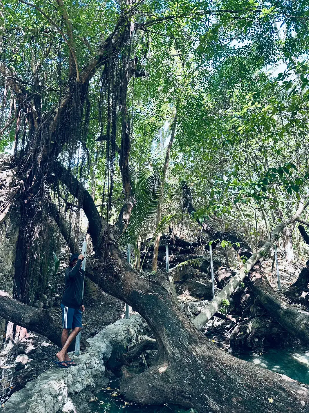 #baucau#views#4u#fypシ゚  #viraltiktok #berandamuu 