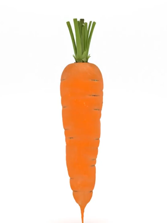 Levitating Carrot Fractal Morph#foruyou #FoodTok #asmrfood #foodeatingvideos #asmrsounds #asmreating #asmrvideo #الشعب_الصيني_ماله_حل😂😂